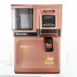 bless pro Brandy Rose