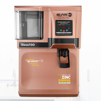 bless pro Brandy Rose